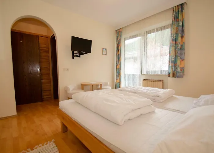 Piberger - Zell Am Kaprun Summer Card Included *