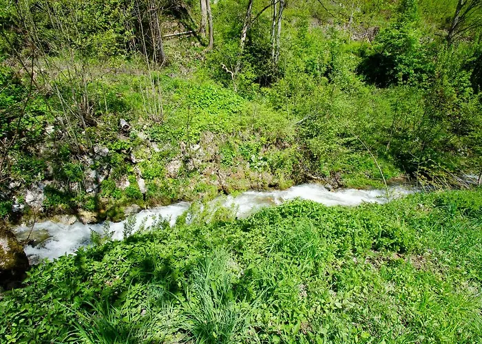 Piberger - Zell Am Kaprun Summer Card Included Apartmán